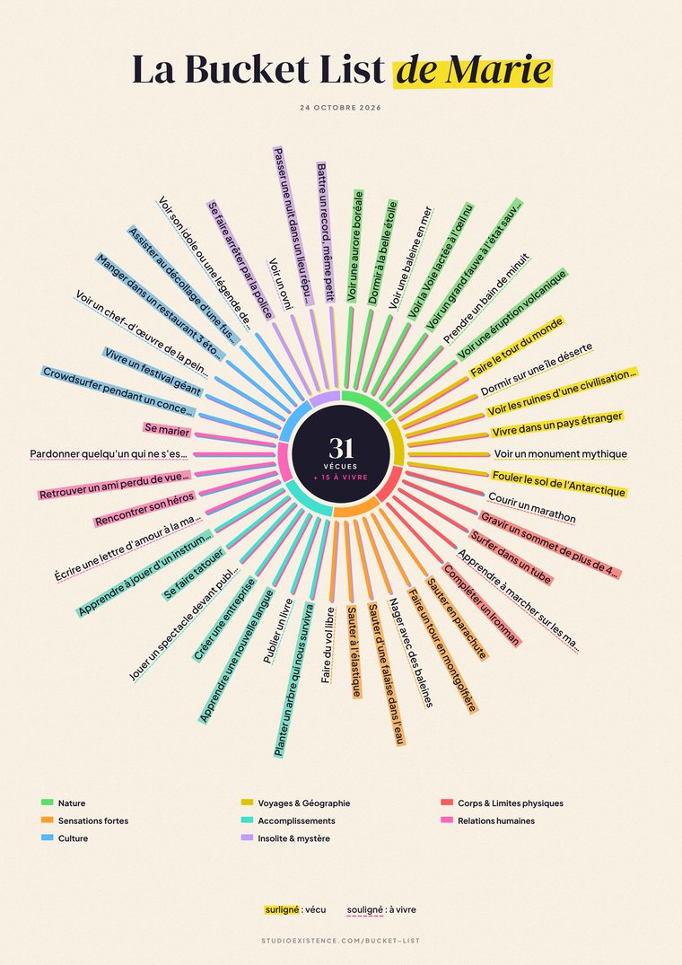 Exemple d'affiche Bucket List, style Rosace : un portrait en rayons aux couleurs des catégories